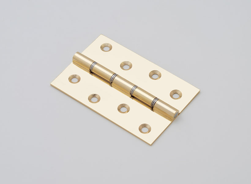 Double Stainless Steel Washer Hinges