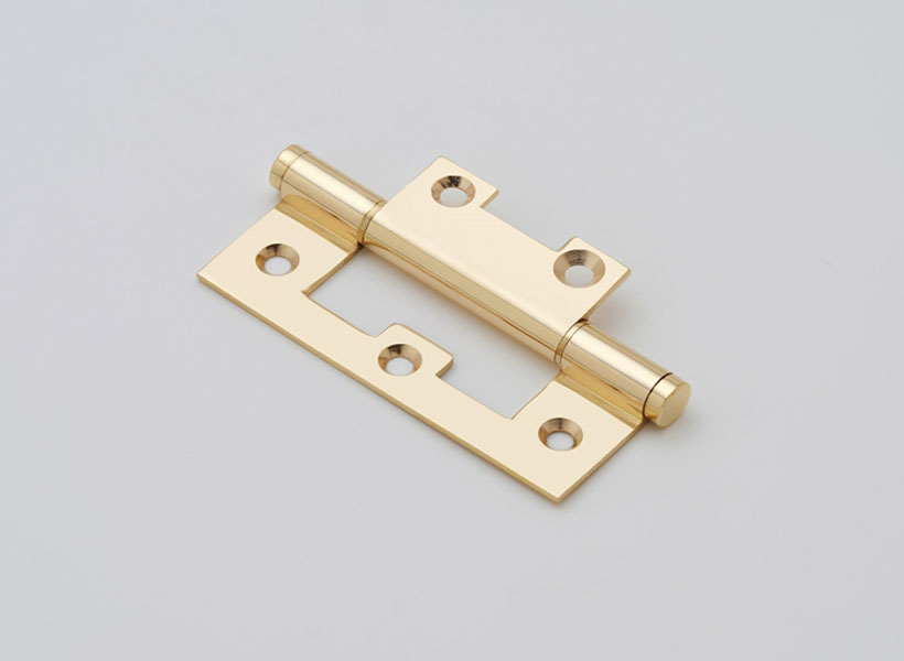 Flush Hinges 2